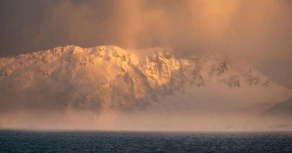 Antarctica-South Georgia Island-Bay of Isles Sunrise panoramic of fog on mountain and ocean